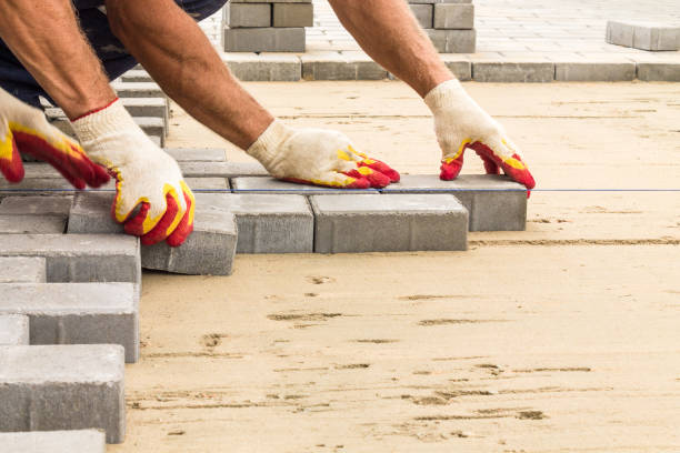 Best Driveway Repair Near Me  in Telluride, CO